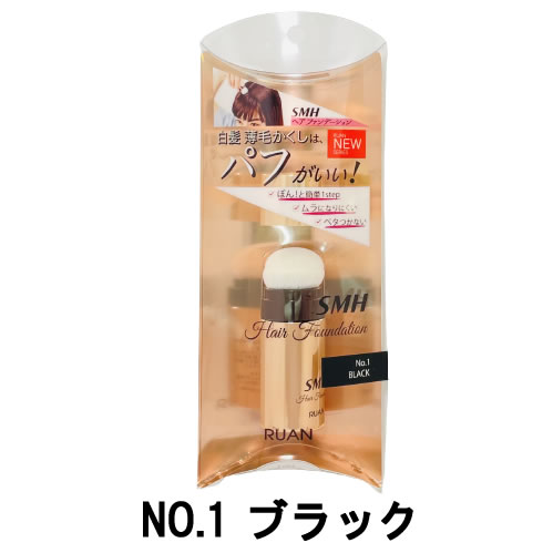 【2点購入でラベンダー】 ルアン SMH ヘアファンデーション スティックタイプ NO.1 ブラック 3g [ スーパーミリオンヘアー ]【 定形外 送料無料 】