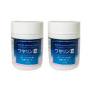 【2点購入でラベンダー】【あす楽】 大洋製薬 ペトロリュームジェリーHG 化粧用油 100g ×2個セット[ ワセリンHG ワセリン スキンケア 白色ワセリン 敏感 敏感肌 保湿 刺激 が少ない 肌に優しい 肌のお悩み ]【 送料無料 】※北海道・沖縄除く