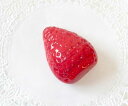植物 果物 ジョイキャンドル FRシリーズ イチゴ