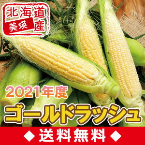 【送料無料・産地直送】北海道美瑛産生食可！とうもろこしゴールドラッシュ10本セット【8月中旬発送開始】のサムネイル