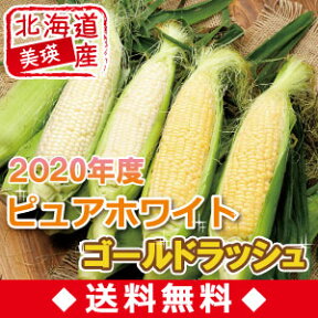 ※2021年度はお休みさせていただきます【送料無料】【産地直送】北海道美瑛産生食可！とうもろこしピュアホワイト5本＆ゴールドラッシュ5本(10本セット)【8月中旬発送開始】