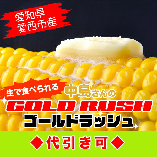 予約受付中！【産地直送】愛知県愛西市産朝採りとうもろこしゴールドラッシュLサイズ16本【複数購入の場合送料は後ほどお知らせします】のサムネイル