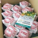 もぎたて幸水梨2L5kg(16個)産地直送!【10P06Aug16】