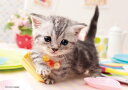 【即出荷】ジグソーパズル 88ピース ねこ ママ、よんだ? (18.2x25.7cm)(P88-008) ビバリー 梱60cm t105