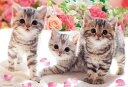 【即出荷】ジグソーパズル 300ピース ねこ あそんでにゃ (26x38cm)(P33-118) ビバリー 梱60cm t101