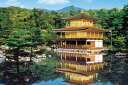 ジグソーパズル 1000ピース 新緑の金閣寺-京都(50x75cm)(10-790) エポック社 梱80cm t101