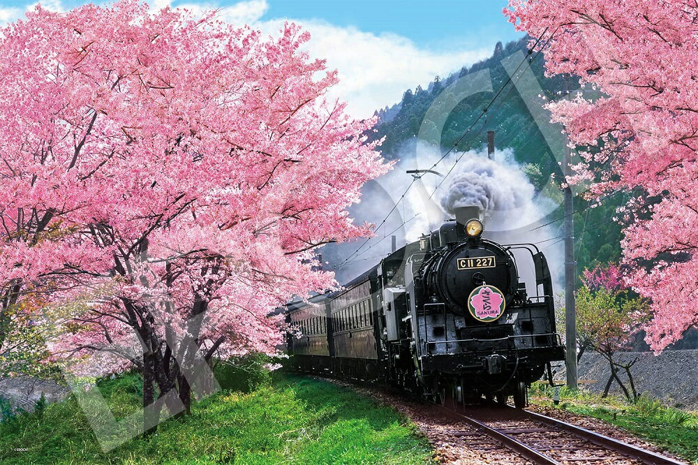 ジグソーパズル 1000ピース 桜と大井川鐵道-静岡 (50×75cm) (09-020s) エポック社 梱80cm t101のサムネイル