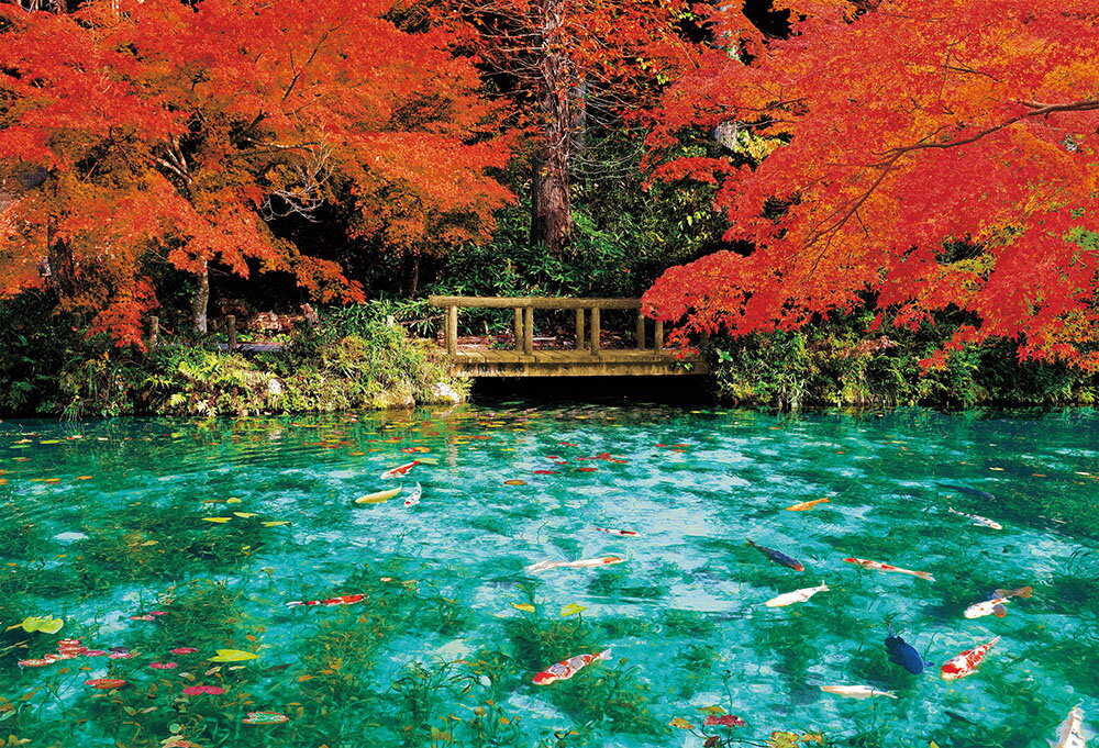 ジグソーパズル 1000ピース 秋色に彩るモネの池 (49×72cm）(51-300) ビバリー 梱60cm t102