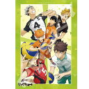 ジグソーパズル 1000T-508 アニメ『ハイキュー!!』 強敵 (73.5×51cm)(1000T-508) エンスカイ 梱60cm t104