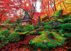 【即出荷】ジグソーパズル 600ピース 紅葉の教林坊 (53×38cm)(600-026) ビバリー 梱60cm b100