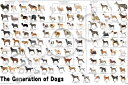 ジグソーパズル 1000ピース ペット 犬の系統図 (50×75cm)(12-625s) エポック社 梱60cm t102