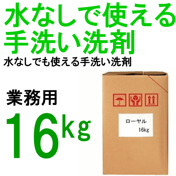 水無しでも使える業務用手洗い洗剤 ローヤル 16kg 鈴木油脂 S-541 pvd8-10001019 Proバイダー堺駅前店 サンプル画像2