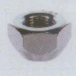 ホイルナット（貫通ナット） 100個入 12×P1.25 21HEX 【Moveon】 / N10-12-125-100