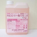 カビ取りジェル 1kg カビ取り剤 カビ 除去剤 低臭タイプ 業務用 カビとり一発リキッド プロが使う強力カビ取り剤 お徳用 全国