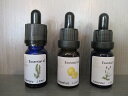 エッセンシャルオイル アーユルヴェーダシロダーラオイル用 3種類セット 各10ml