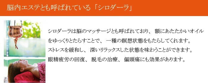 カウンセリングシート エステ 100枚 A4 ...の紹介画像2