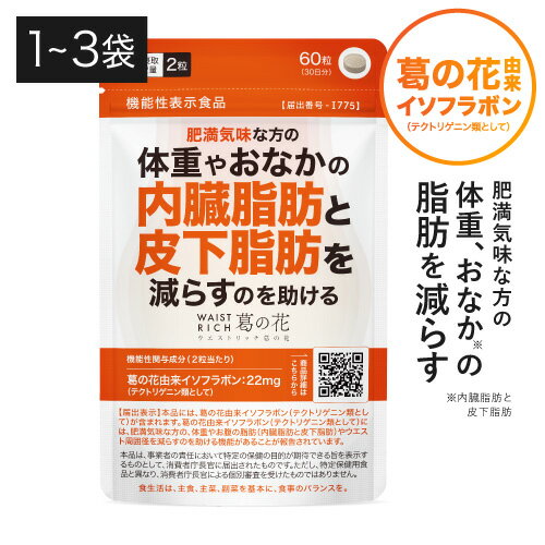 送料無料 ロート V5 A 目のサプリメント 30粒入り ×10箱（ロート製薬 ルテイン ザアキサンチン 機能性表示食品）