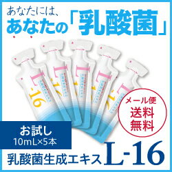 乳酸菌 サプリメント 乳酸菌生成エキス L-16 お試し5包 長期熟成発酵エキス 特許製法あなただけの乳酸菌を育てよう エビデンスは「乳酸菌生成エキス研究室LABO」参照 あなただけの乳酸菌を元気にする【メール便】