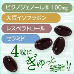 【メール便】ピクノジェノール 100mg(4粒中)配合ピクノジェノール エクセレントプラスお試し28粒　フランス海岸松 飲む美容液と言われるほど サプリメント [pycnogenol trial]