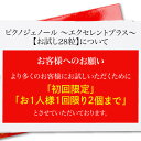 ピクノジェノール サプリ 100mg / 4粒中 配合【美容クリニック 橋本医師監修 サプリメント】【お一人様2個まで】 ピクノジェノール エクセレントプラスお試し28粒 フランス海岸松 pycnogenol trial 【メール便】 2