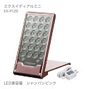 エクスイディアル(Exideal)mini 本体セット　シャンパンピンク[ エクスイディアルmini 本体セット ]