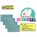 【ピグマリオン論説紙芝居国語 第31話~第34話】 国語 紙芝居 国語力 言語 創造力 幼児 幼児教育 能力育成 教材 教具 幼児教材 ピグマリオン 年少 年中 年長 小学生教材 小学生