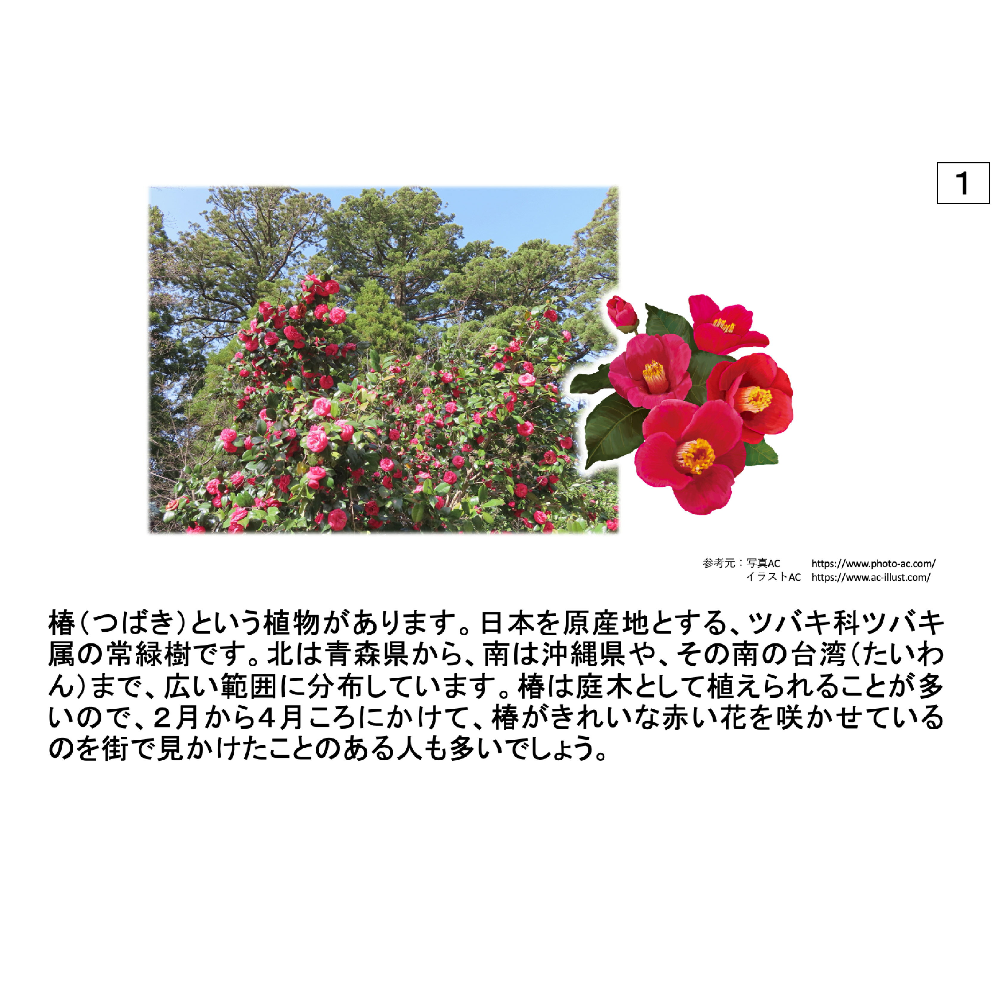 【ピグマリオン論説紙芝居国語　第88話〜第90話】 国語 紙芝居 国語力 言語 創造力 幼児 幼児教育 能力育成 教材 教具 幼児教材 ピグマリオン 年少 年中 年長 小学生教材 小学生