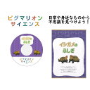 【ピグマリオンサイエンス イシガメのふしぎ】 科学 問題集 ピグマリオンサイエンス 知育玩具 おもちゃ 幼児 幼児教育 能力育成 教材 教具 幼児教材 ピグマリオン 年少 年中 年長 独創性 思考力