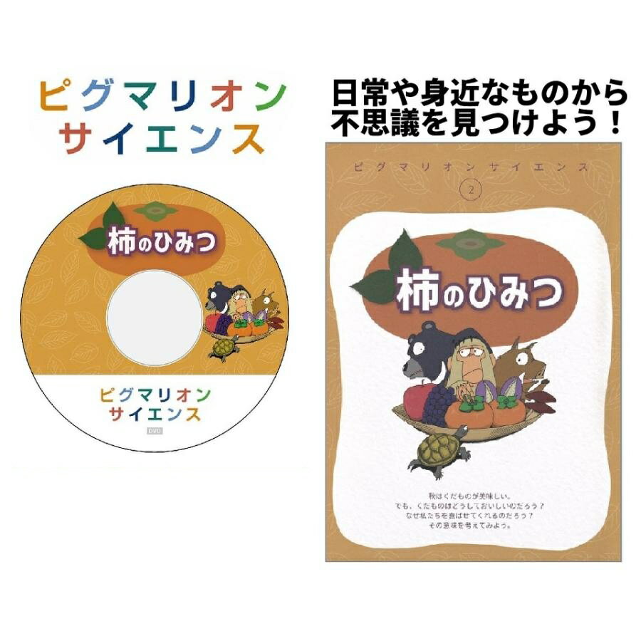 【ピグマリオンサイエンス　柿のひみつ】 科学 問題集 ピグマリオンサイエンス 知育玩具 おもちゃ 幼児 幼児教育 能力育成 教材 教具 幼児教材 ピグマリオン 年少 年中 年長 独創性 思考力