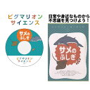 【ピグマリオンサイエンス サメのふしぎ】 科学 問題集 ピグマリオンサイエンス 知育玩具 おもちゃ 幼児 幼児教育 能力育成 教材 教具 幼児教材 ピグマリオン 年少 年中 年長 独創性 思考力