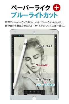 【紙のような書き心地/上質紙】 iPad 10.5 インチ (Air 2019) / (Pro 2017) ペーパーライク ブルーライトカット フィルム【日本製】ブルーライト低減 アンチグレア IPDP105PLBLC ゆうパケ