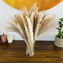 パンパスグラス 造花 花束45CM ドライフラワー オリジナル シリーズ ドライフラワー ブーケ 壁掛け 花束パンパスグラス 造花 大きい パンパス ドライフラ...