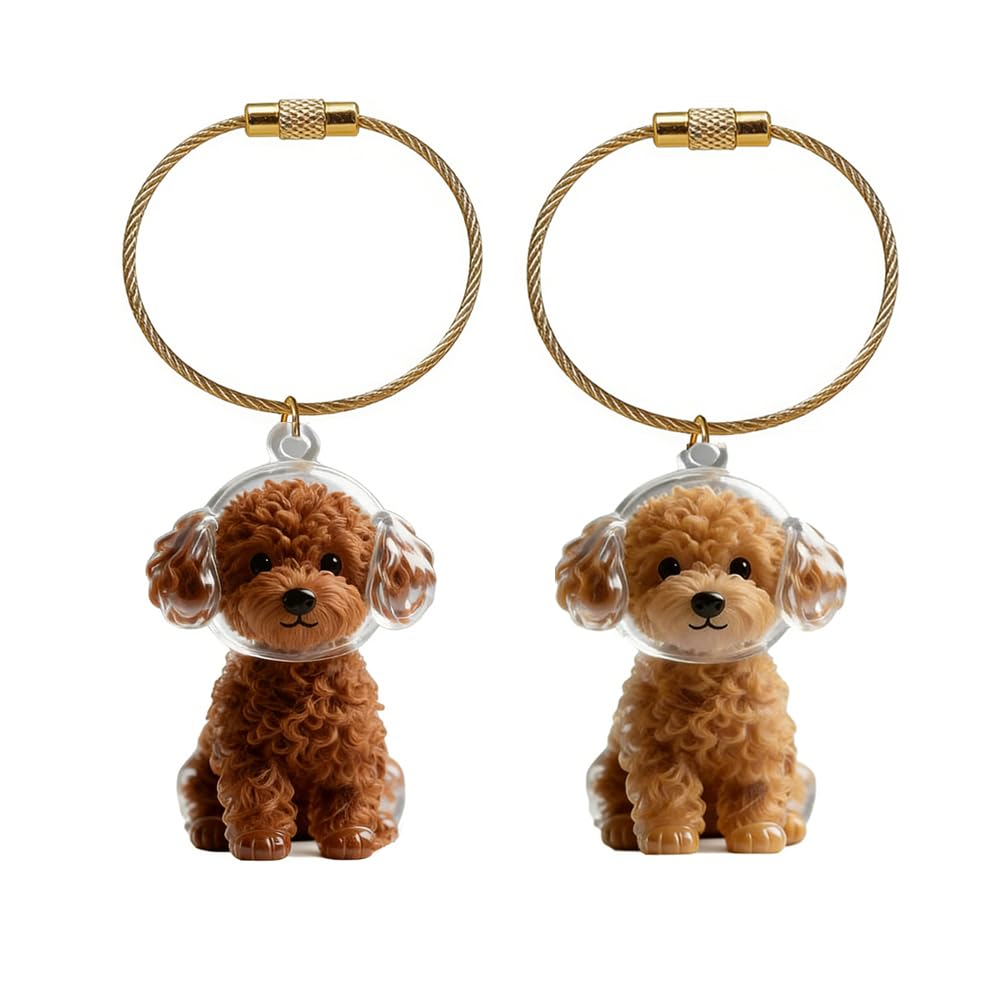 Rakuten - 【2個セット】犬の毛 キーホルダー 透明ケース ペット遺毛入れ 抜け毛収納キーホルダー ペット 毛を入れる メモリアルグッズ ペットヘアボトル