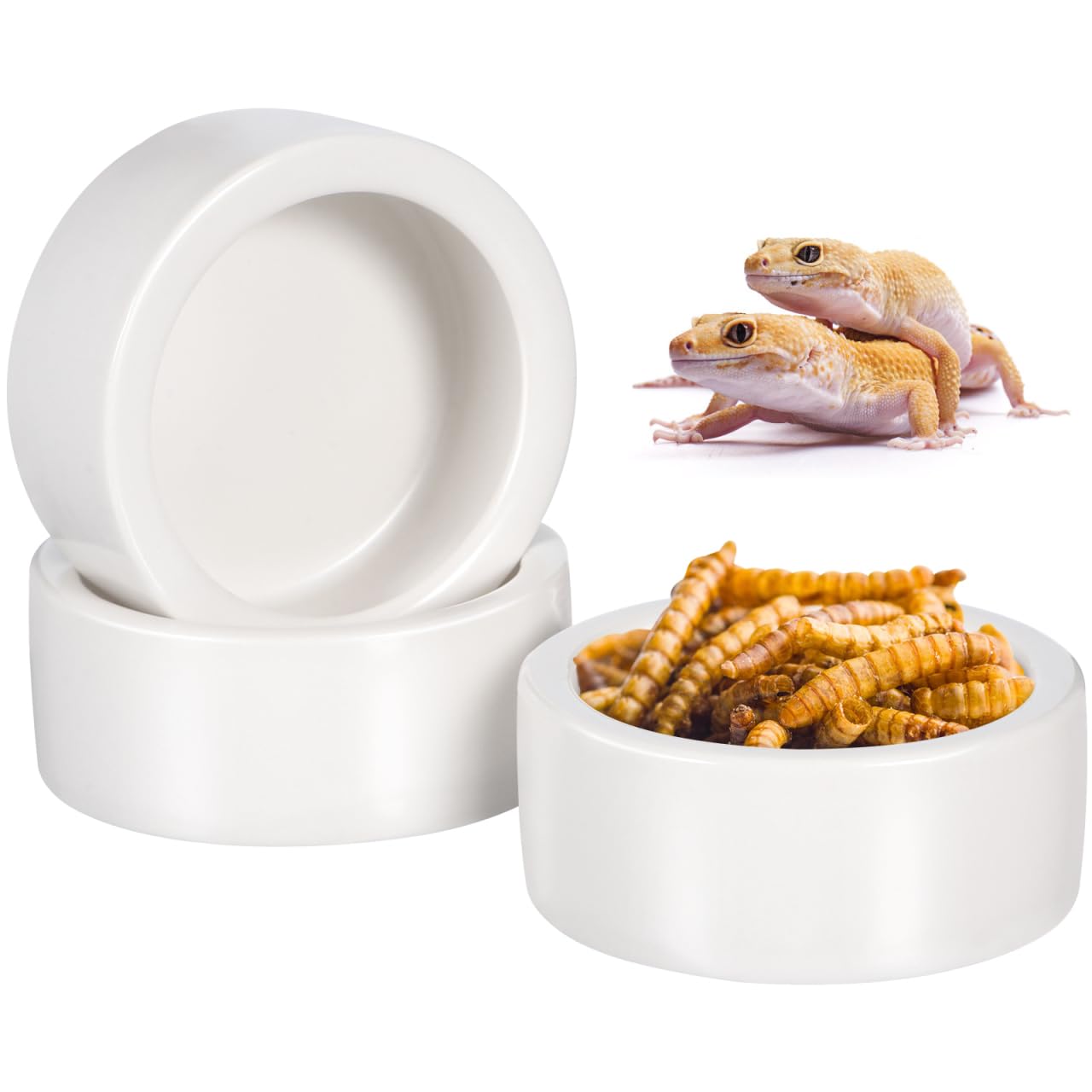 【3個セット】爬虫類 エサ皿 水入れ 脱走防止 陶器 小 (直径5cm) 餌入れ レプタイルディッシュ レオパ トカゲ ヤモリ 亀 返し付き ワーム皿 ホワイト