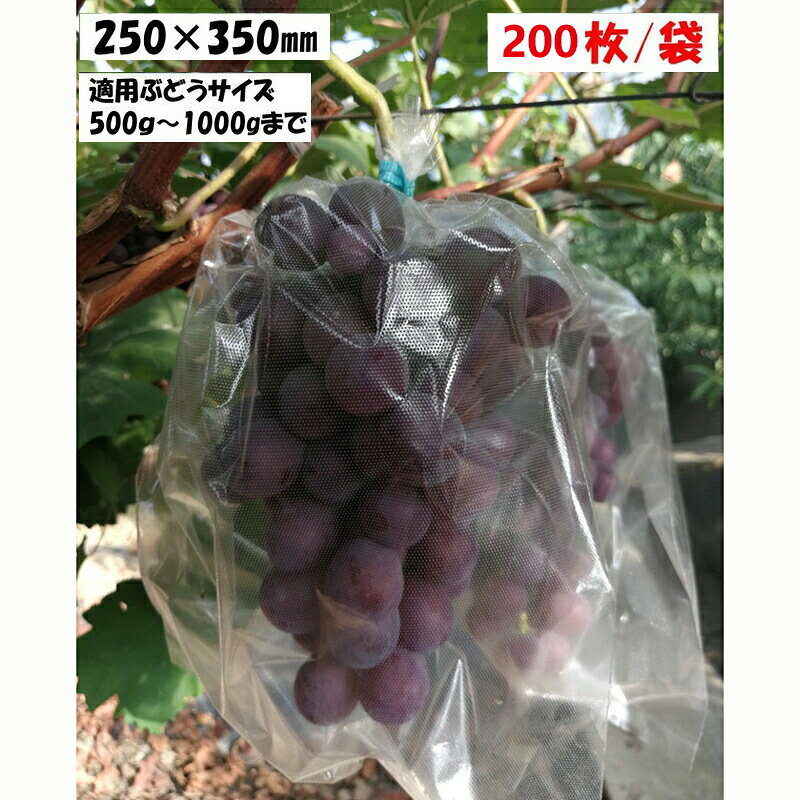 全透明微孔フィルム袋 ブドウ日光カバー袋 果物野菜ラップ袋 ブドウラップ袋 鳥や...