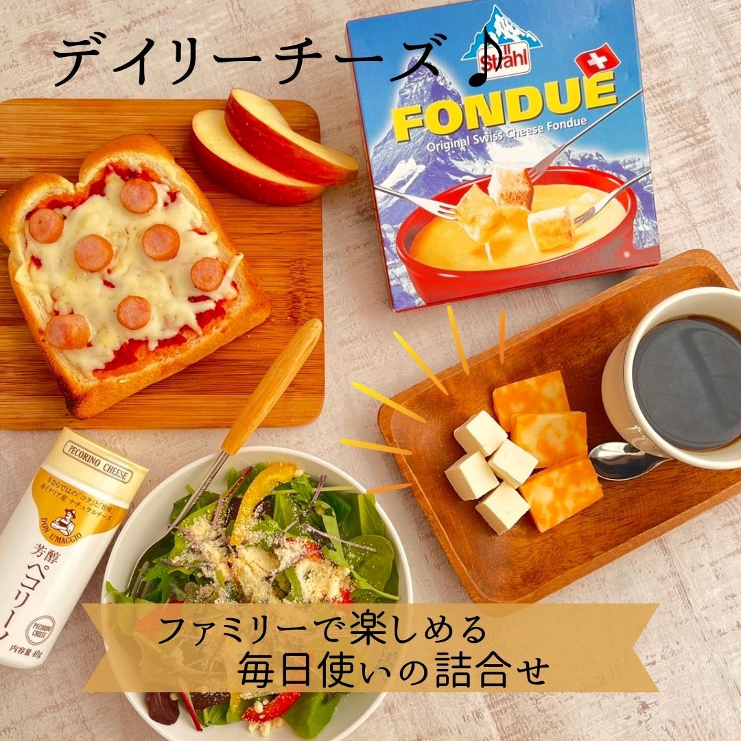 【 デイリー チーズ 】 ギフト セット 詰め合わせ チーズフォンデュ コルビージャック クリームチーズ 温め とかす 芳醇ペコリーノ ペコリーノ 粉チーズ シ...