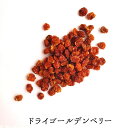 ドライ ゴールデン ベリー 200g ゴールデンベリー インカベリー スーパーフード コロンビア 南アメリカ プチプチ 美味しい フルーツ すっぱい 爽やか 食...