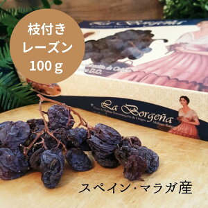 դ 졼 100g 濫 ڥ ޥ饬 ֤ɤ ޥå   ֥ɥ  ̵ź ǹ 磻 ˫ ɥ饤 ⥹ƥ 塼 ʼ ڻ ߤ䤲 ץ쥼