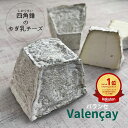 【 ヴァランセ 1個 (約220g) 】 バランセ 熟成 シェーブル ソフト チーズ やぎ 山羊 ヤギ 山羊乳 なめらか 炭 ねっとり 本格派 酸味 旨味 フラ...