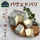 【 パヴェ ド パリ 110g 】 フランス 3ヶ月 熟成 ジャジー シェーブル 石畳 ソフト チーズ やぎ 山羊 ヤギ 山羊乳 なめらか 炭 本格派 酸味 旨...
