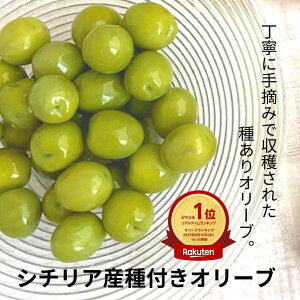 グリーン オリーブ 200g 種あり 1袋 シチリア シャキシャキ フレッシュ オリーブ 実 ノッチョーラ ベリーチェ そのまま 簡単 おつまみ 宅飲み 家飲み ワイン ヘルシー イタリア 美味しい 時短 料理 オードブル パーティー 贈り物 プレゼント ギフト お土産 テーブル