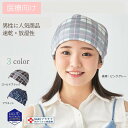【数量限定特別価格!】ケアぼうしナノプラチナ【ファブリックメッシュ】 医療用帽子/抗がん剤帽子 男女兼用 抗がん剤副作用・脱毛・ケア帽子 【消臭・抗菌】 放湿性...