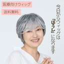 moRe-モア-「プルムカール」 WIG/ウィッグ/かつら/マシンメイド/耐熱/人工毛 /抗がん剤/脱毛/ケア帽子 /乳がん/円形脱毛症/軽い/自然 ギフトプレゼント