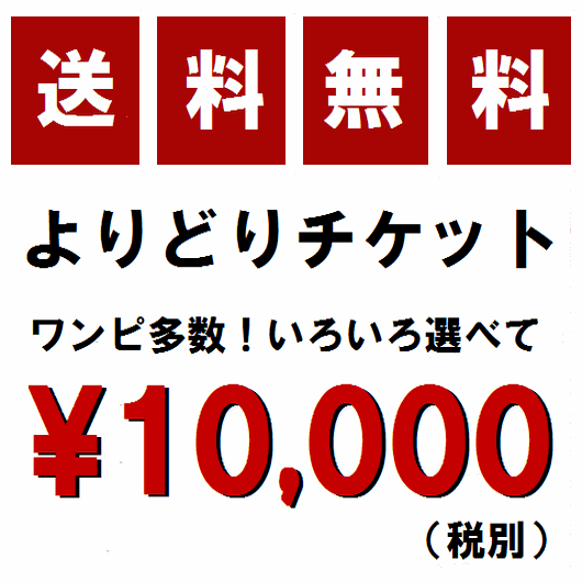 【よりどりチケット】対象商品よりどりで1万円！　送料無料 ワンピース多数 ドレス シルク トップス スカート アウター 好きな商品を選んで 特別価格 自分で選ぶ福袋 選べる福袋 2022 福袋 レディース