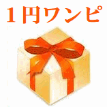 【1円プレゼント】【まとめ買い特典】当店でお買い物したお客様限定プレゼント!赤字提供!ご購入金額に応じてプレゼント(衣類・アクセサリー・ベルト)大人気!ワンピースも【1円福袋】【2020 福袋 レディース】