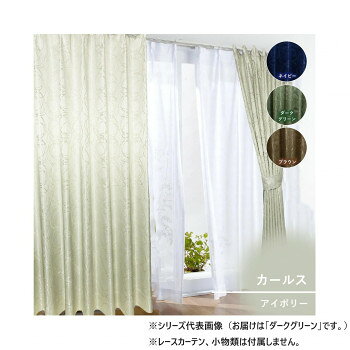 カーテン カールス 2P 100X200 DG 725861000200038