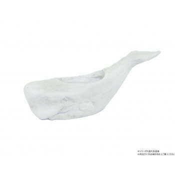 村田屋産業 マッコウクジラポット 3253