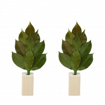 A＆K 日本製プリザーブド 榊S 榊立てセット ST-002