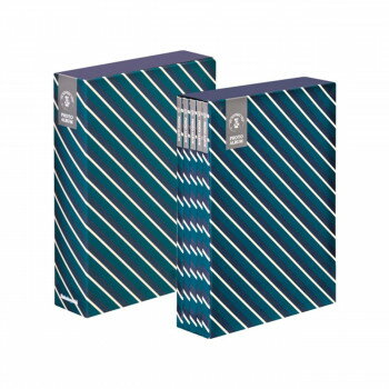 ナカバヤシ　5冊組ポケットアルバム270枚　ストライプ/ブルー　5PL-270-33-B