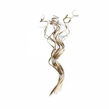 Casto カスト ドライフラワー Coco Curl 58275